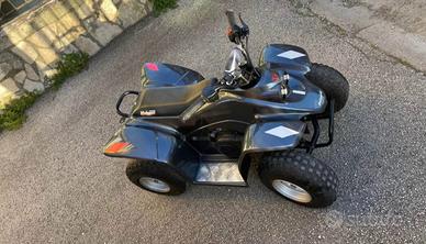 Malaguti Quod Grizzly Four Whell - 2007