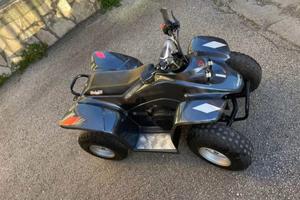 Malaguti Quod Grizzly Four Whell - 2007