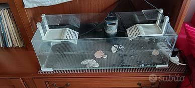 Acquario per tartarughe o pesci