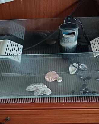Acquario per tartarughe o pesci