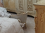 Immagine 6