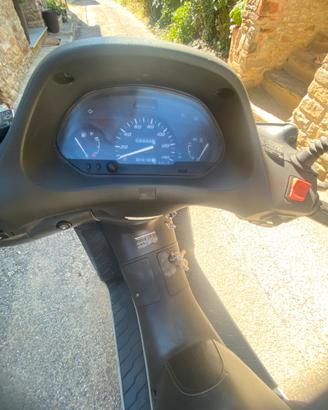 Honda foresight 250
