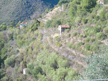 SUSENEO - Rustico immerso nel verde