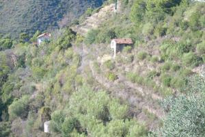 SUSENEO - Rustico immerso nel verde