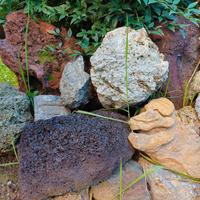 pietre decorative da giardino 