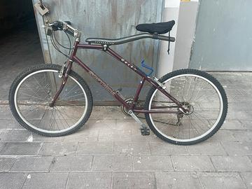bicicletta Softride Gecko