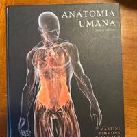 ANATOMIA UMANA