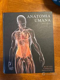 ANATOMIA UMANA