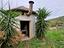 Immagine 16
