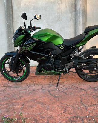Kawasaki Z300