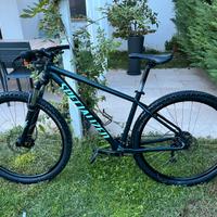 Specialized Rockhopper 29