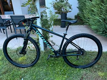 Specialized Rockhopper 29