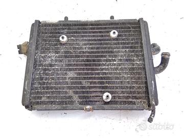 APRILIA SPORTCITY EURO 3 125 RADIATORE 2006 2008 V