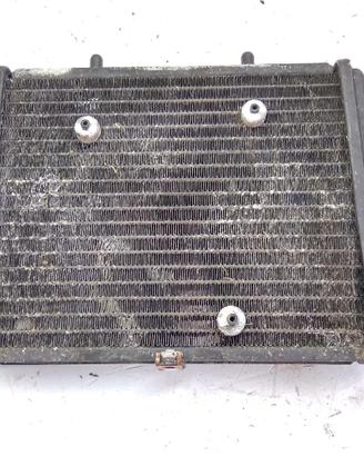 APRILIA SPORTCITY EURO 3 125 RADIATORE 2006 2008 V