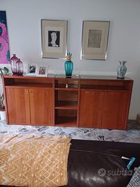 Madia moderna e Madia arte povera