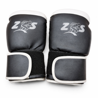 Guantoni da boxe 12 oz usati – economici