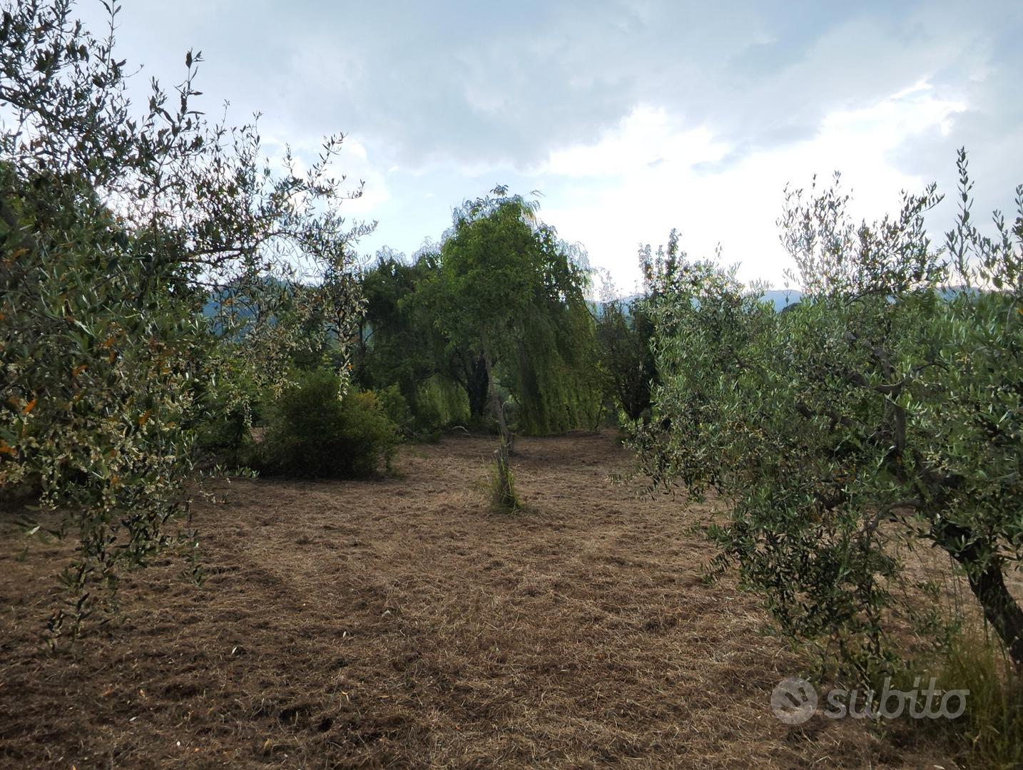 Terreno agricolo - Altro