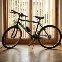 MTB, Esperia 1900, 26”, Acciaio, Verde