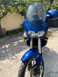 APRILIA PEGASO 650 CUBE - Storica Iscritta FMI