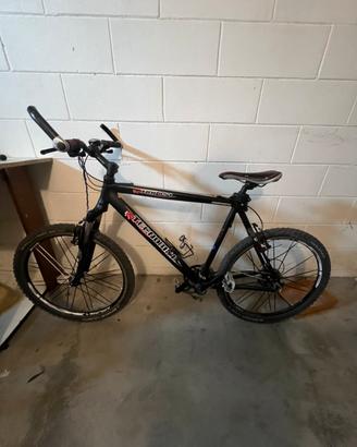 Bici montagna