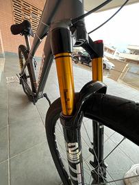 whellie bike castom