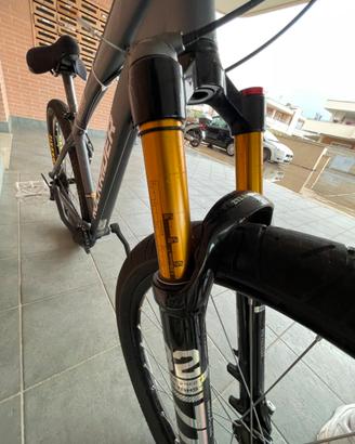 whellie bike castom