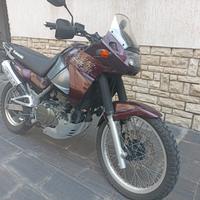 Kawasaki KLE 500 - 1999