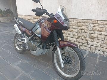 Kawasaki KLE 500 - 1999