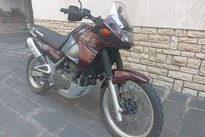Kawasaki KLE 500 - 1999
