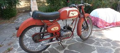 cimatti anni 60