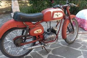 cimatti anni 60