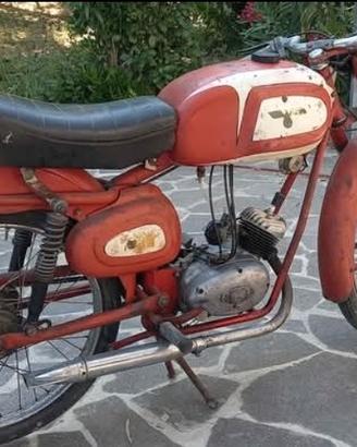 cimatti anni 60