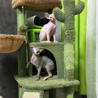 Gatto Sping