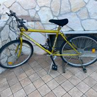 Bici Magnum
