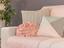 Immagine 19