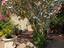 Immagine 12