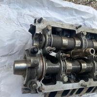 Testata Audi a4 b6 2.5 tdi