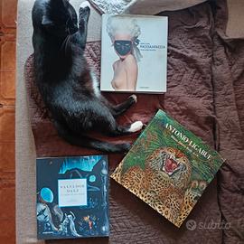 ARTE 3 CATALOGHI  50 euro
