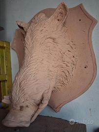 trofeo terracotta cinghiale