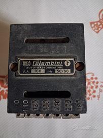 autotrasformatore 100VA