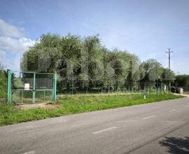 Terreno Agricolo Fabrica di Roma