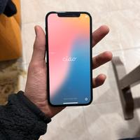 IPhone 12 128GB — Usato