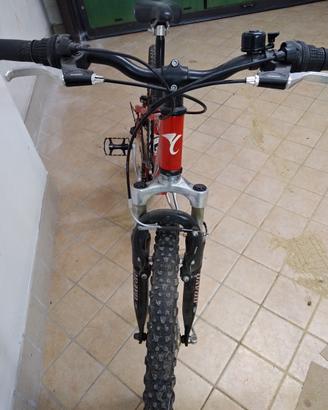Muntain bike  Carraro non utilizzata
