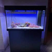 Acquario 125 litri Marino allestimento completo