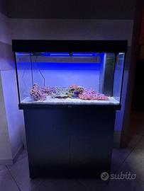 Acquario 125 litri Marino allestimento completo