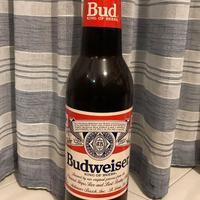 Bottiglia gigante salvadanaio Budweiser