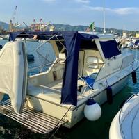 Chris Craft 25 express cruiser