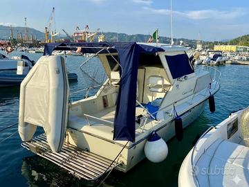 Chris Craft 25 express cruiser