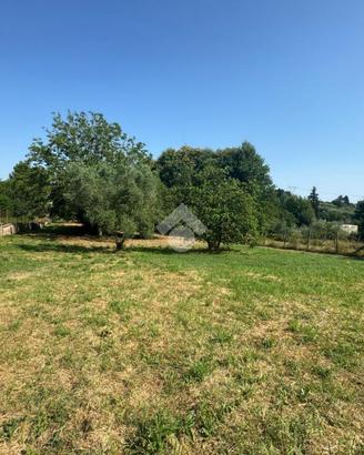 TER. AGRICOLO A SAN CESAREO