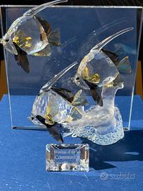 Swarovski SCS Wonders of the Sea